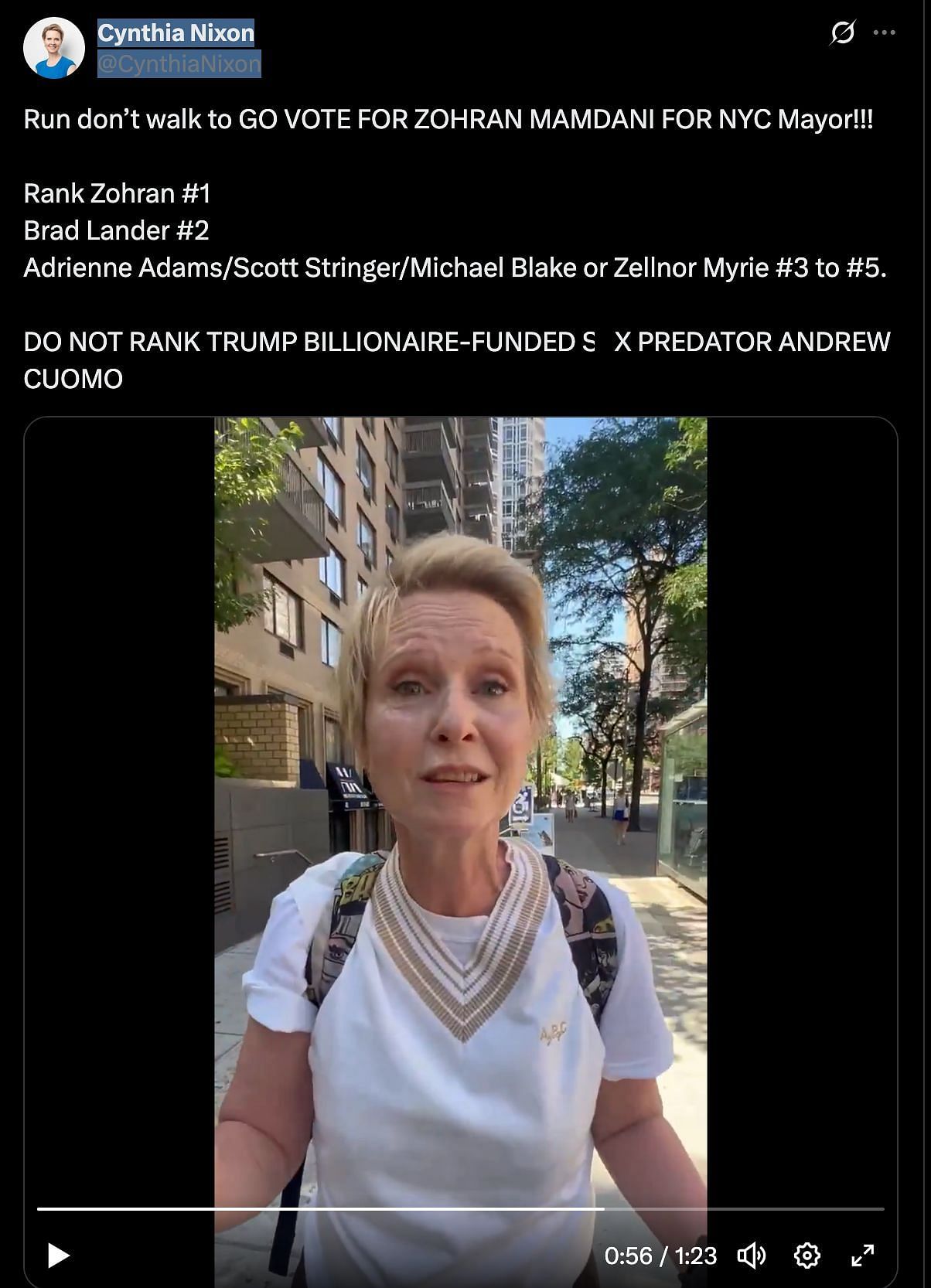 A screenshot of Cynthia Nixon's tweet from election morning (Image via X/@cynthianixon)